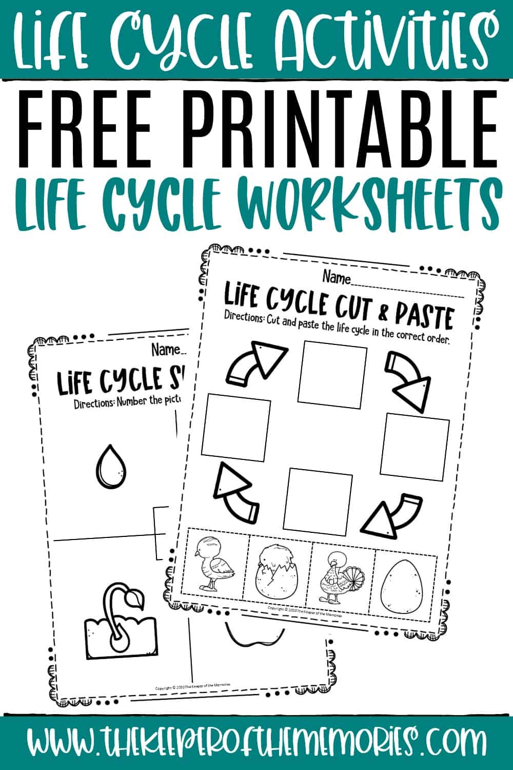 Life Cycle Worksheets The Keeper Of The Memories Life Cycle Worksheets The Keeper Of The Memories