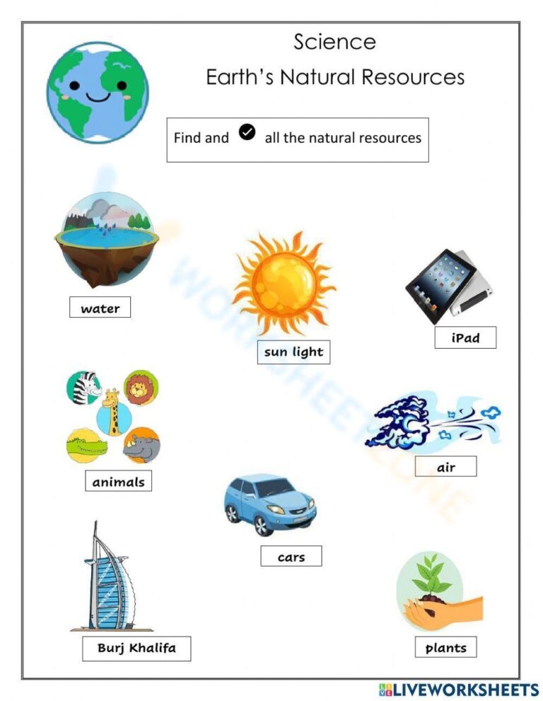 Natural Resources Worksheets 2025