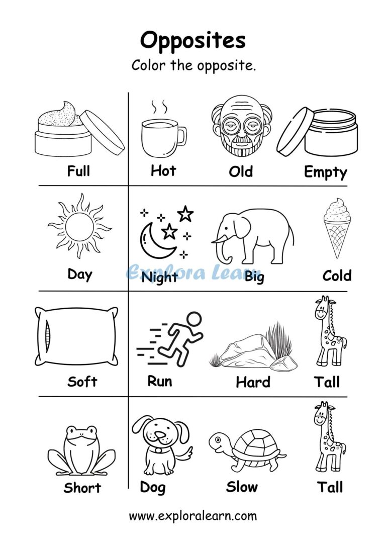 Opposites Comparison Worksheets For Preschool And Kindergarten 2 
