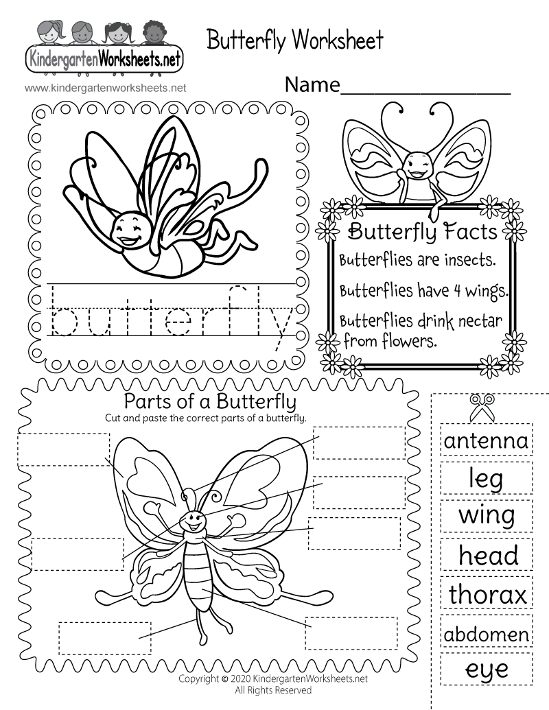Free Printable Insect Body Parts Worksheet