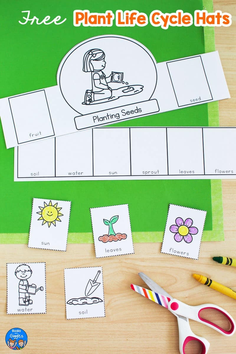 Free Plant Life Cycle Worksheet Printables