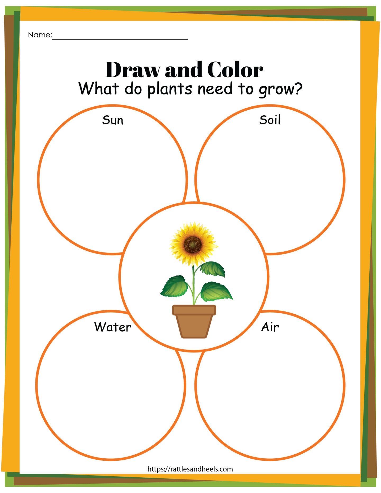 Plant Life Cycle Worksheets Free Printables For Kids Adanna Dill Plant Life Cycle Worksheets Free Printables For Kids Adanna Dill