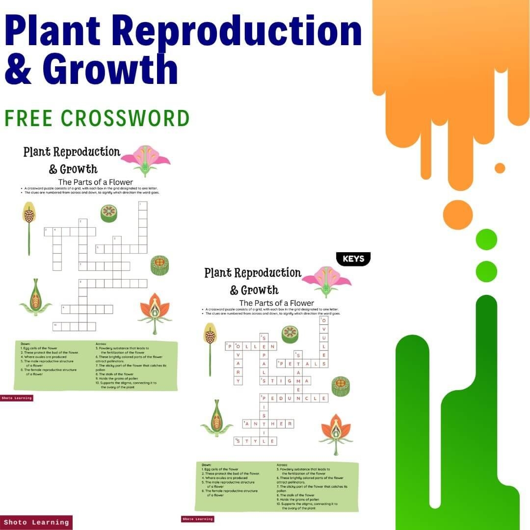 Plant Reproduction U0026 Growth Worksheet Fun Matching Activity