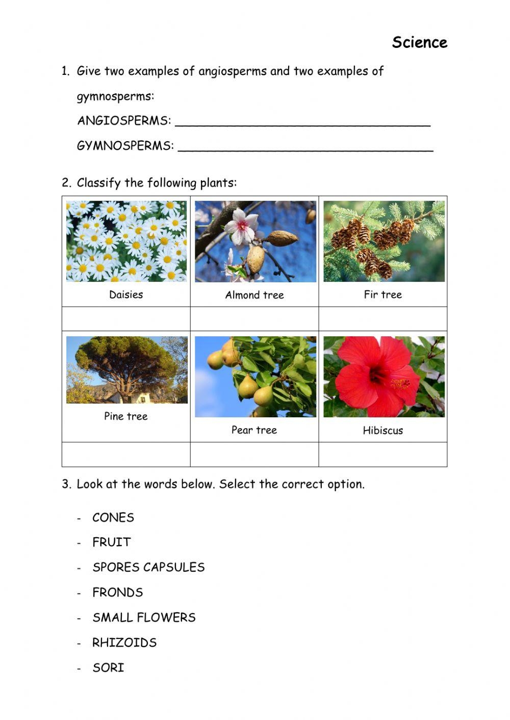 Plants Interactive Exercise For 6th Live Worksheets Worksheets Plants Interactive Exercise For 6th Live Worksheets Worksheets