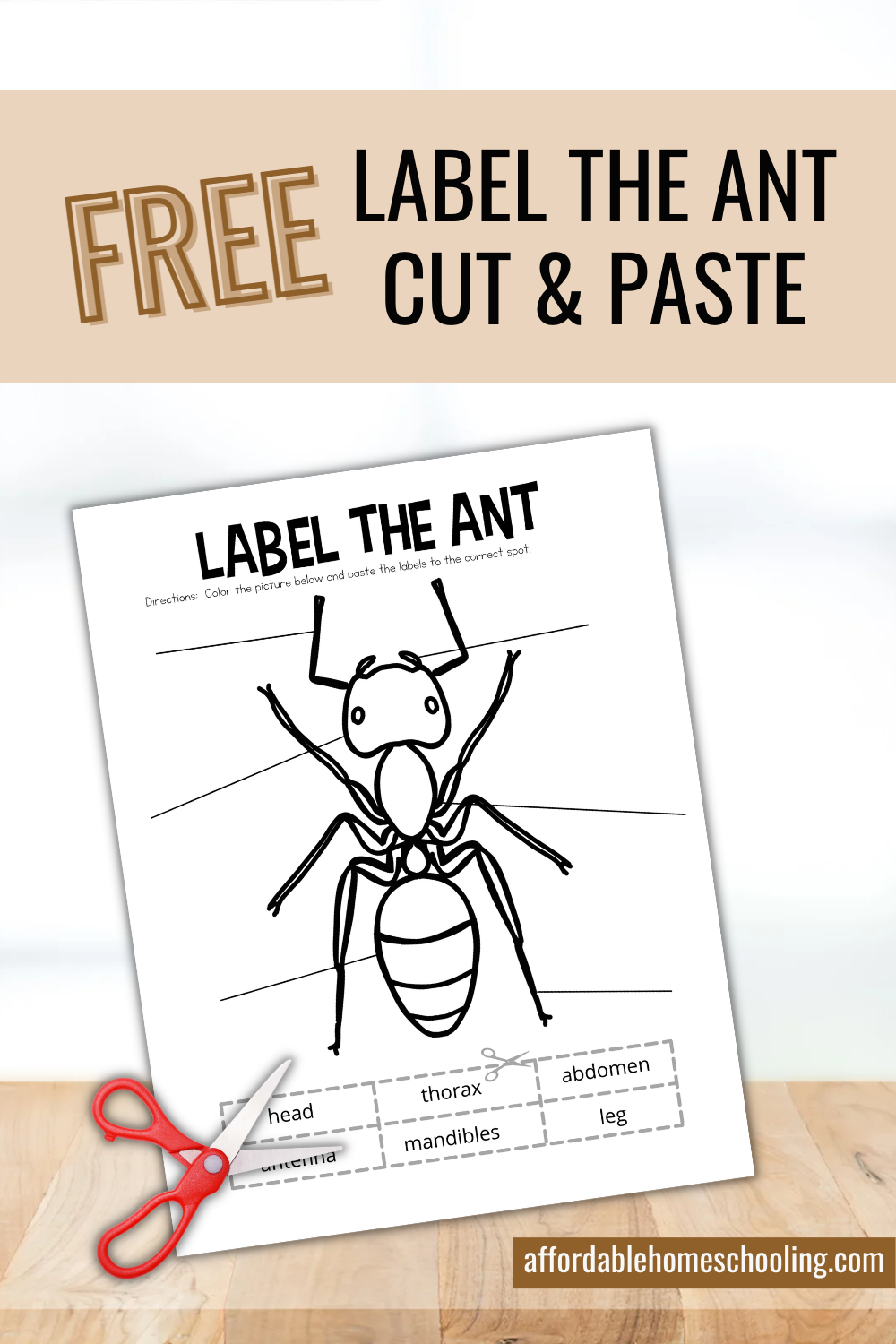 Printable Ant Body Parts Worksheet For Preschoolers