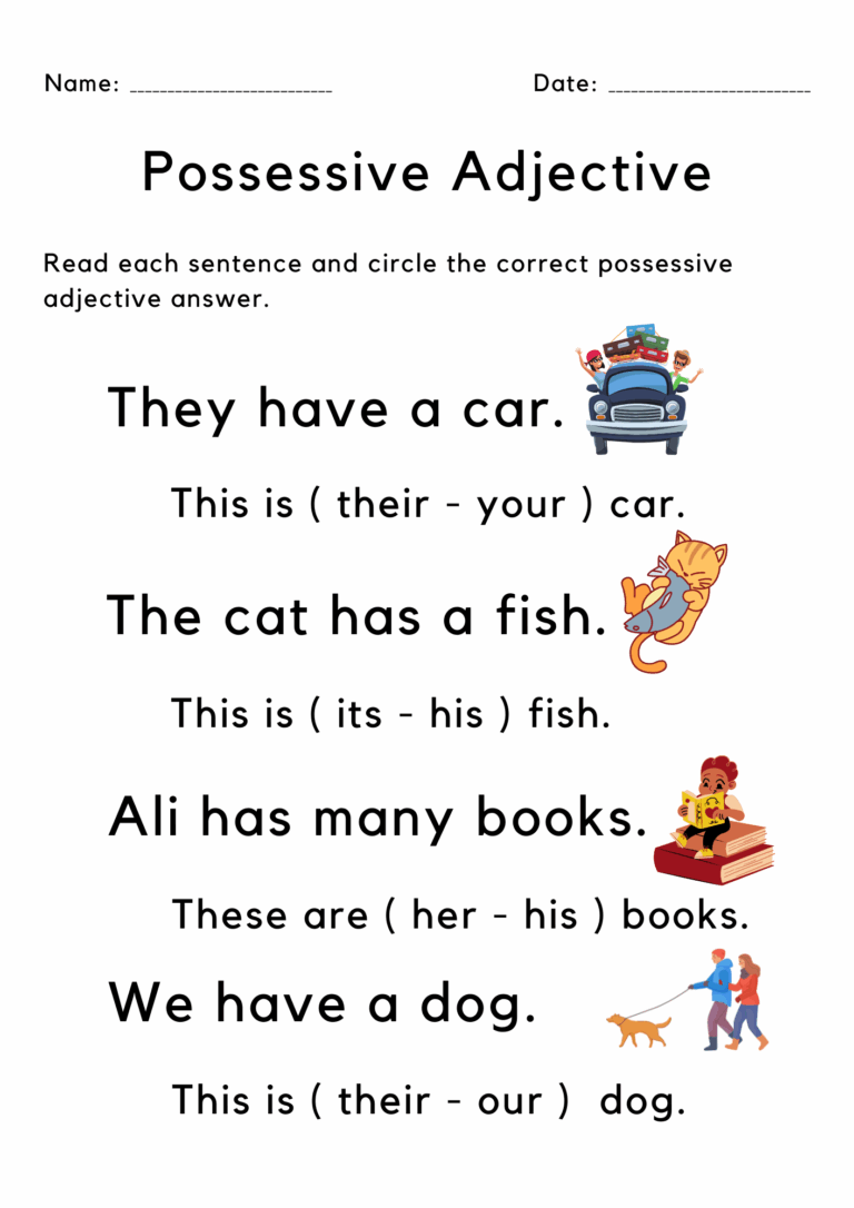 Printable Possessive Adjective Worksheet Grade 1 Teaching Resources