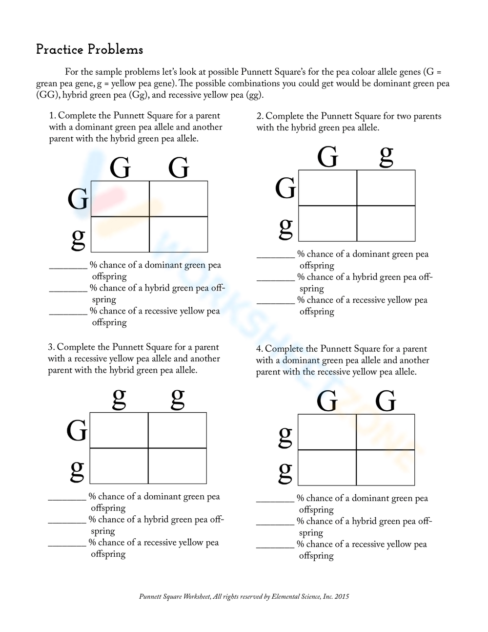 Free Printable Punnett Square Worksheet Free Printable Punnett Square Worksheet