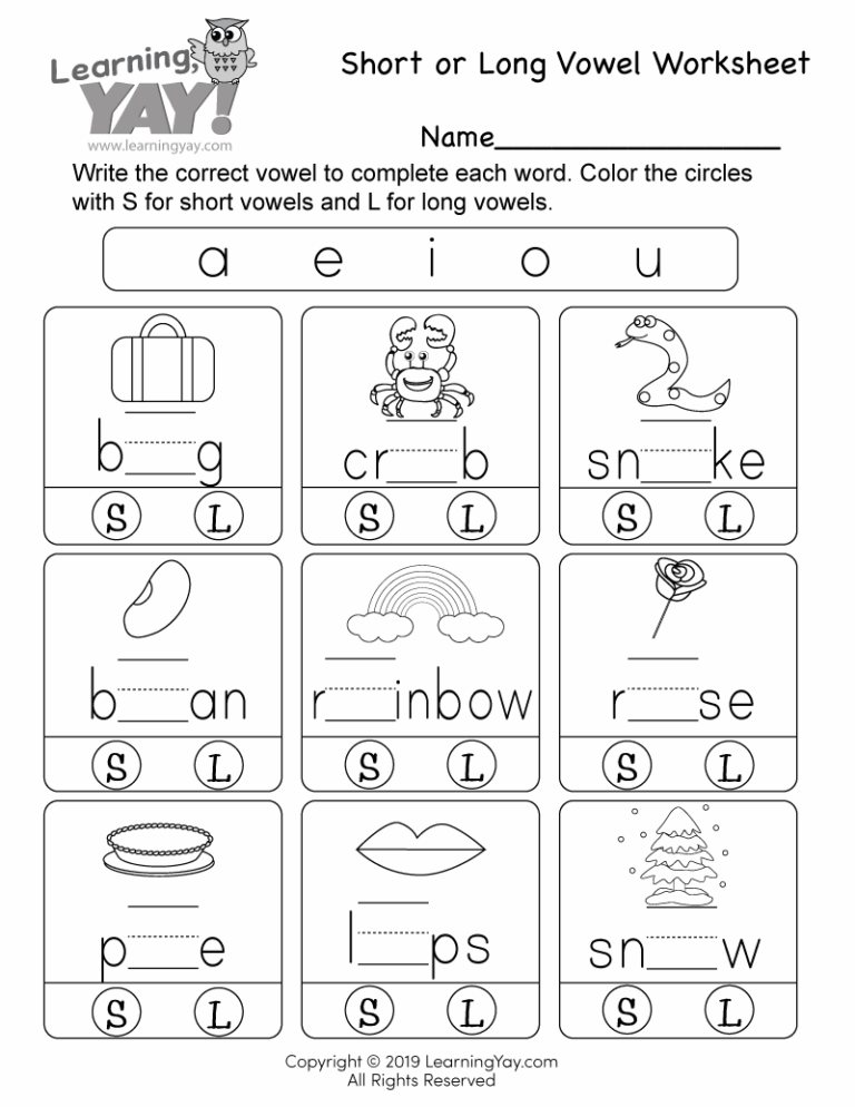 Short Or Long Vowel Worksheet For 1st Grade Free Printable 