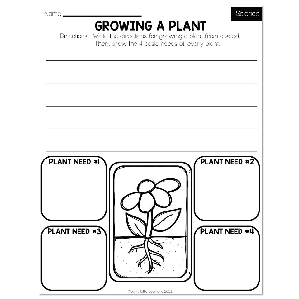 Free Printable Second Grade Science Worksheets