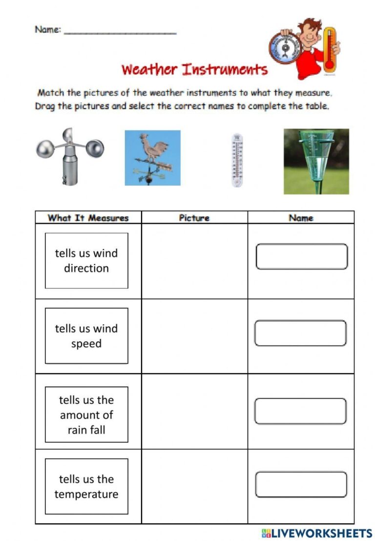 Weather Instruments Free Worksheet Live Worksheets Worksheets Library
