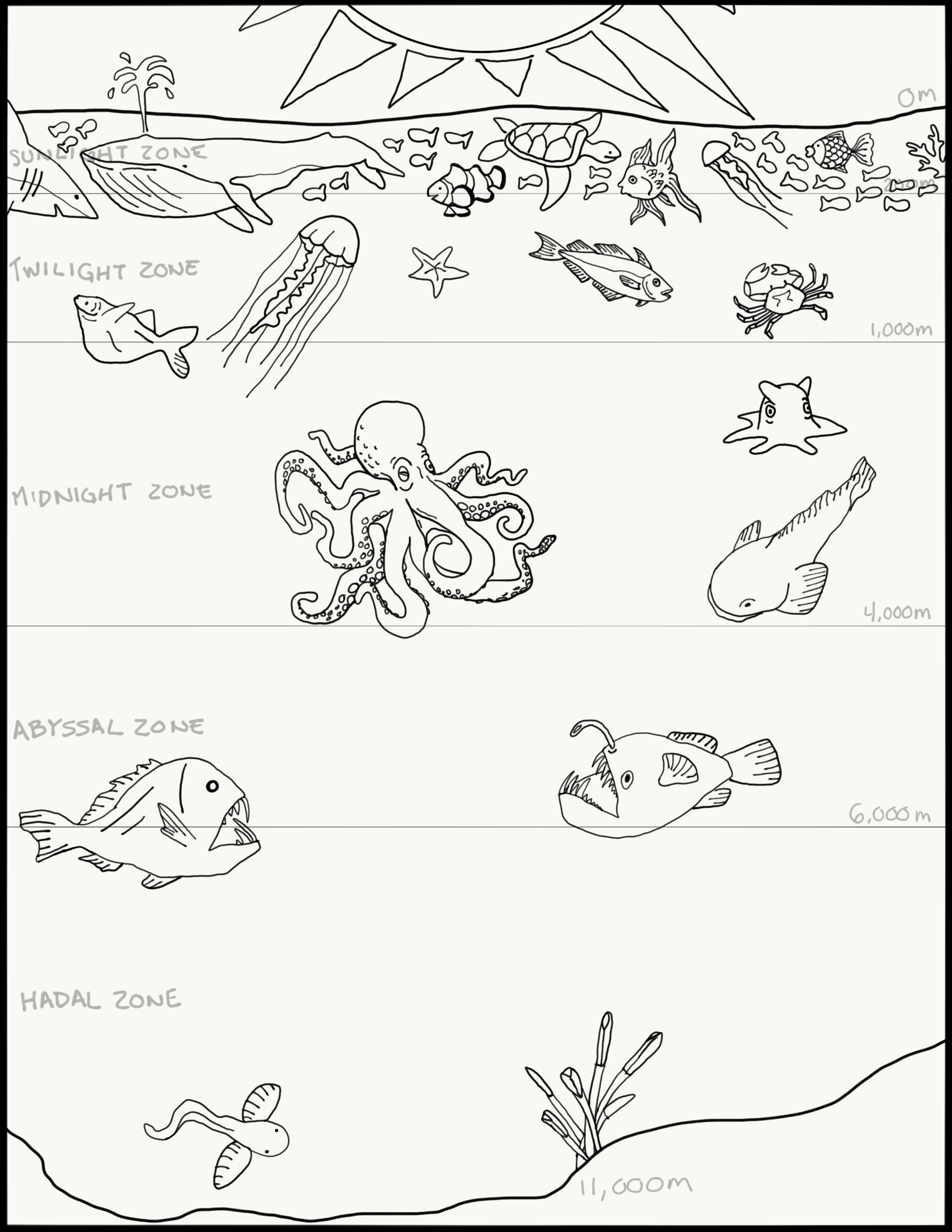 Week 7 Ocean Zones Blue Ocean Society For Marine Conservation Worksheets Library Week 7 Ocean Zones Blue Ocean Society For Marine Conservation Worksheets Library