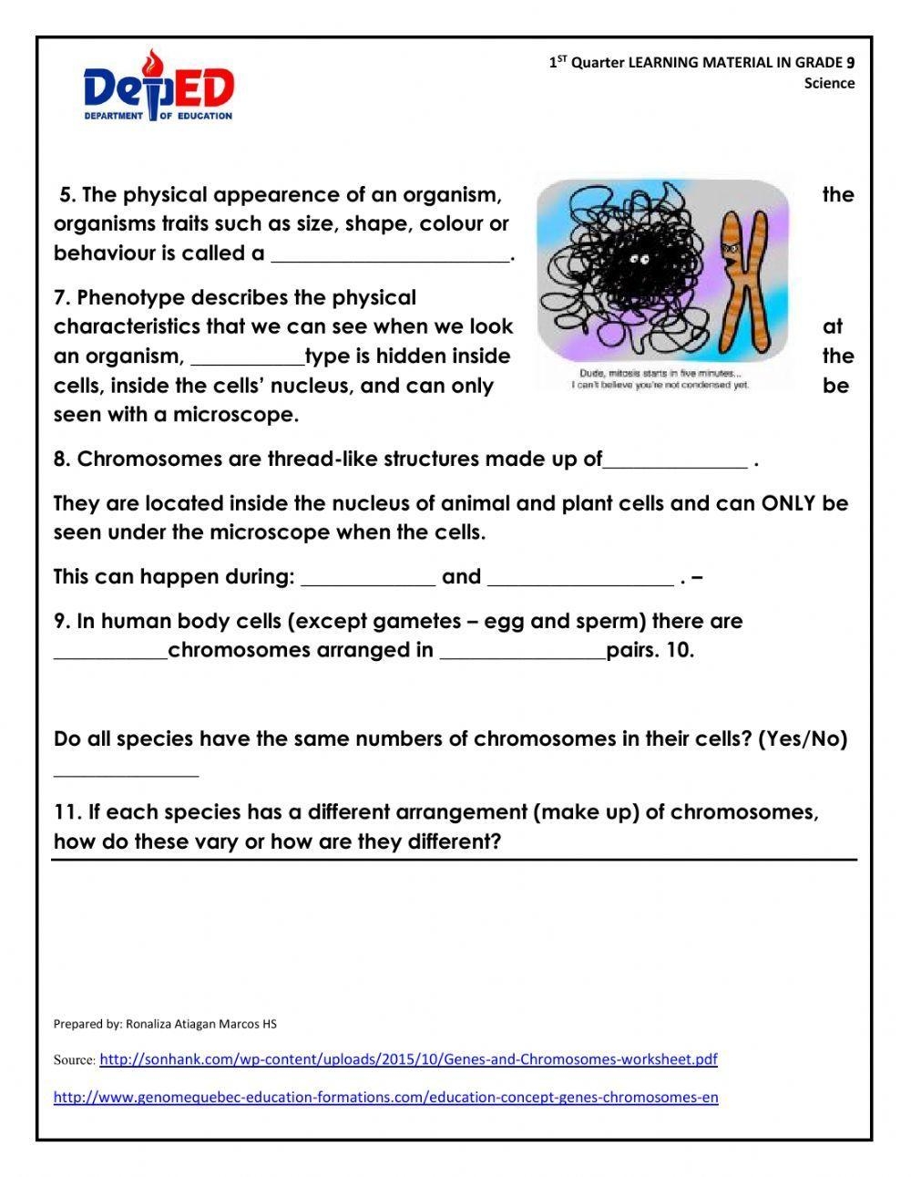 WORKSHEET On GENES And CHROMOSOMES Worksheet Live Worksheets Worksheets Library WORKSHEET On GENES And CHROMOSOMES Worksheet Live Worksheets Worksheets Library