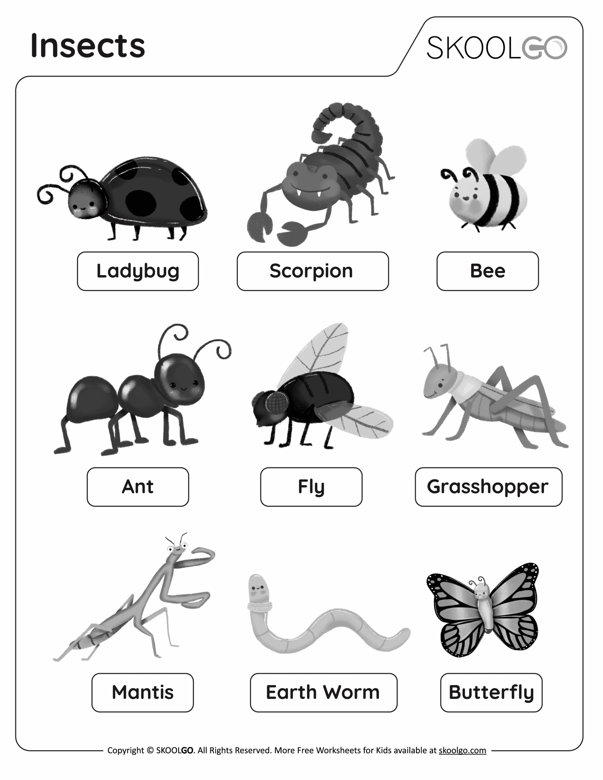 Free Free Worksheet On Insects Download Free Free Worksheet On Insects Png Images Free Worksheets On Clipart Library
