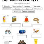 Free Survival Worksheet Download Free Survival Worksheet Png Images Free Worksheets On Clipart Library