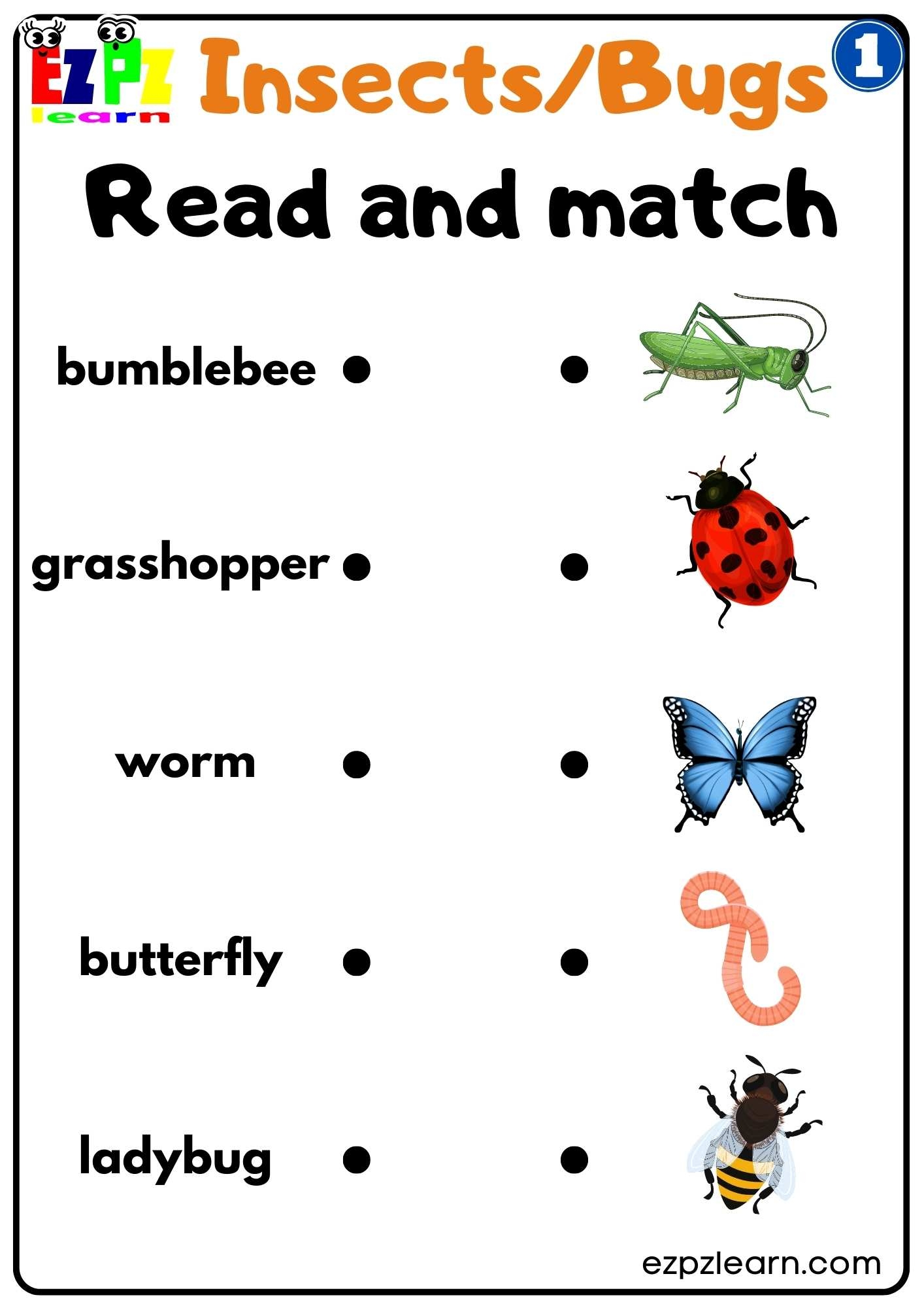 Free Printable Worksheets On Insects