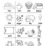Opposites Comparison Worksheets For Preschool And Kindergarten 2 To 6 Years Kids