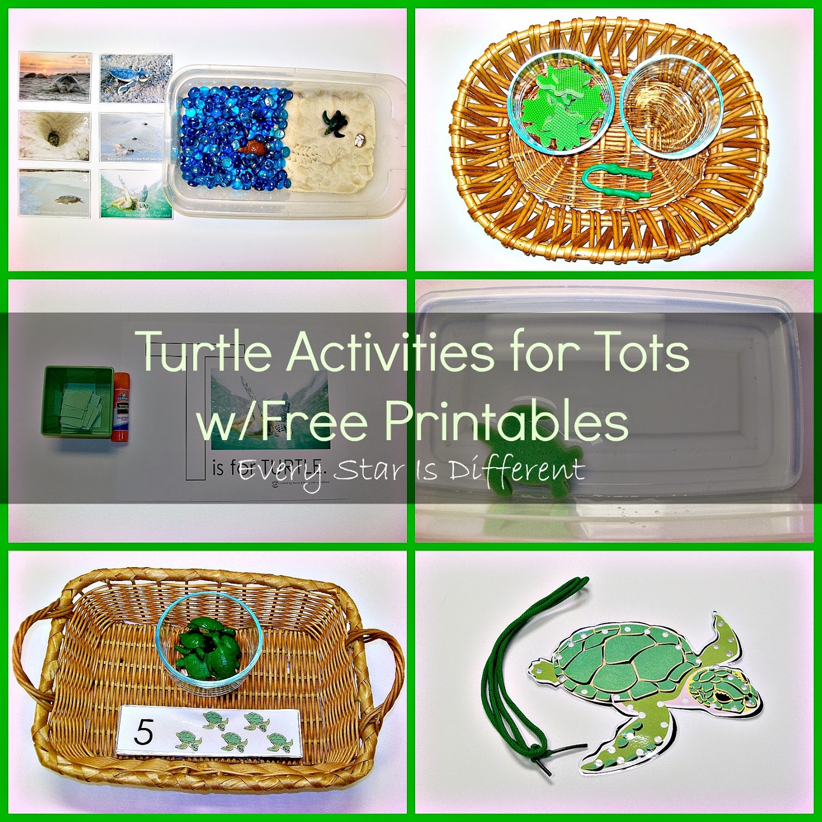 Sea Turtle Activities For Tots With Free Printables Every Star Is Different